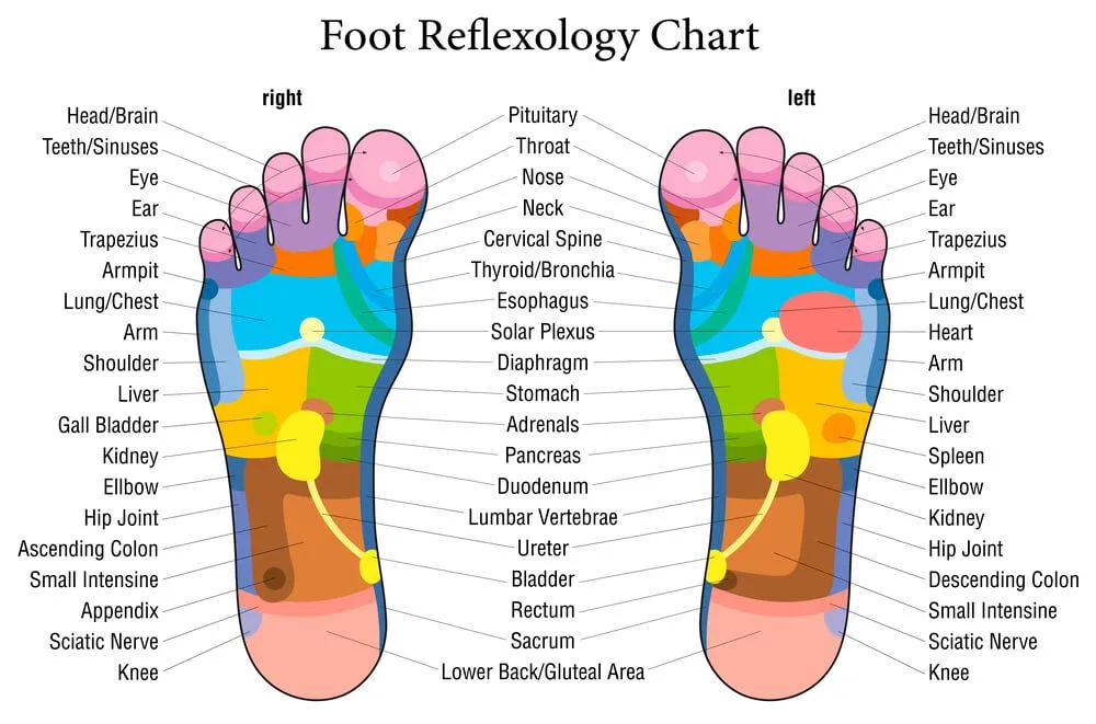Acupressure Massage Slippers – Reflexology Footwear for Pain Relief